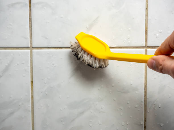 Best Preventive Mold Services in Bonita, CA